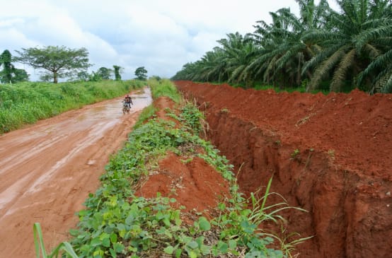 Trench around Okomu Oil Palm plantation in Nigeria