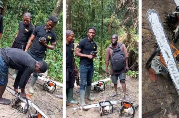 Eco-guards confiscate chainsaws