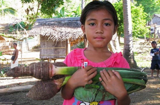 A Pala’wan girl carrying Taro, the local vegetable, standing in front of village huts