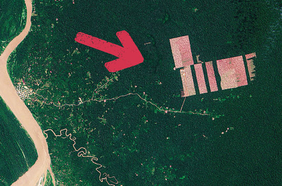 Satellite image of deforestation – Tamshiyacu, Peru