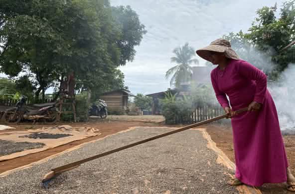 Peppercorns are spread out on large mats and dried.