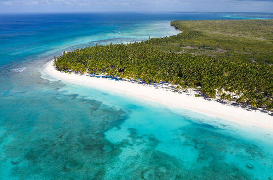 Aerial view of the tropical island Saona with coconut palms and turquoise Caribbean sea