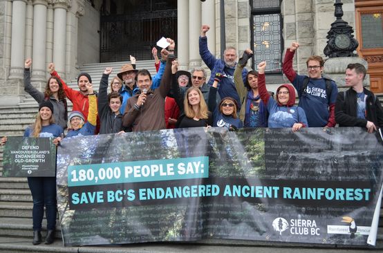 Activists hand over 180,000 signatures protesting logging on Vancouver Island