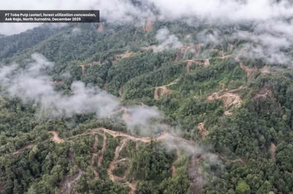 Aerial view of deforestation in a mountainous region