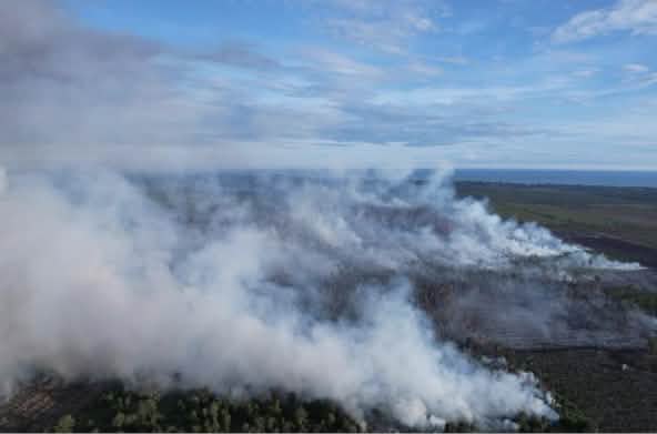 Smoke rising from a peat swamp fire