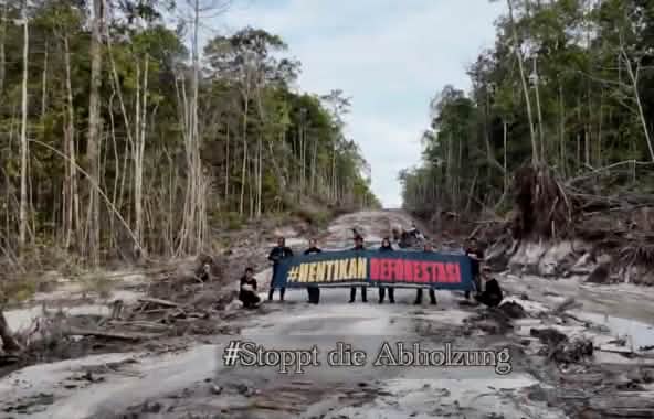 Activists with a “Stop Deforestation” banner protesting on a logging road