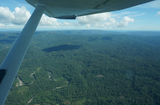 Aerial view of the Sapara rainforest from a small plane