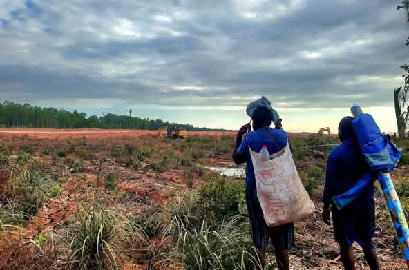 Two men looking from a distance at a clearing for a road