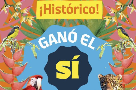 Vote YES for Yasuní