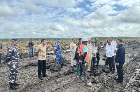 Officials and military personnel on clear-cut land