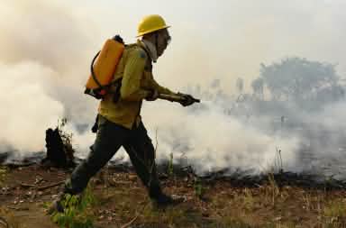 A person wearing protective clothing and carrying a water canister on their back spraying water on smoldering vegetation