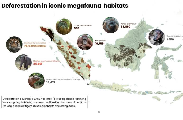 Map of Sumatra and Borneo showing areas of deforestation