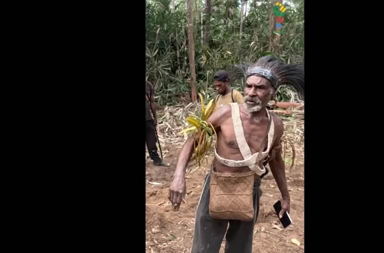 A Papuan man wearing a headdress and carrying a noken (bag)