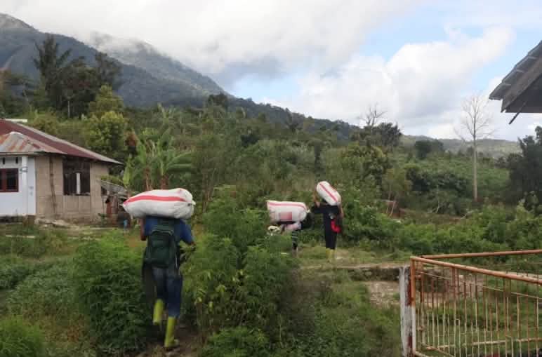 Three people carrying sacks of rice up a hill