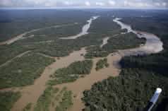 Aerial view of the Amazon rainforest, river landscape