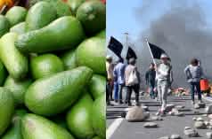 Montage: avocados (l.), protests in Chile