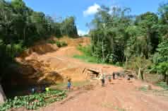 Clearing for logging road