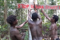 Three Papuans putting up a sign in front of their forest