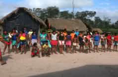 Indigenous Ka'apor standing in a double row in front of two huts in the forest