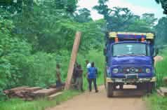 Men loading timber onto a truck