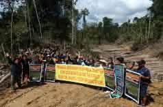 Penan and Berawan people resisting logging in Mulu forest, Sarawak, Malaysia