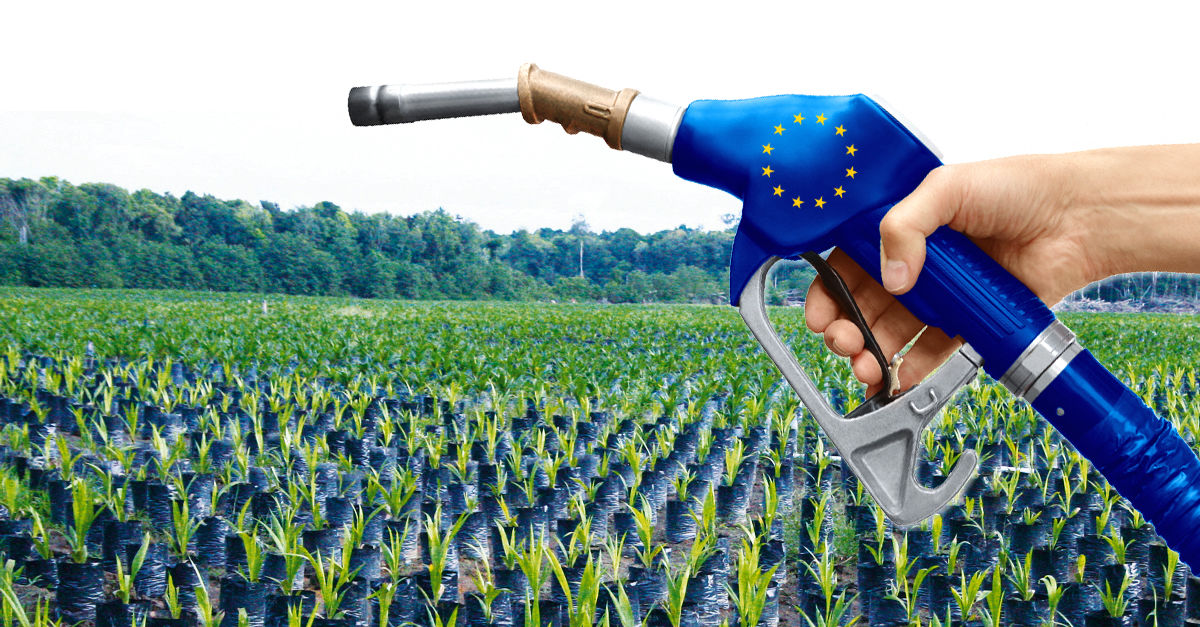 Baby steps toward banning palm oil biofuel in the EU - Rainforest Rescue