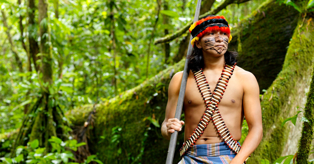 UN report: indigenous people are the best forest guardians - Rainforest