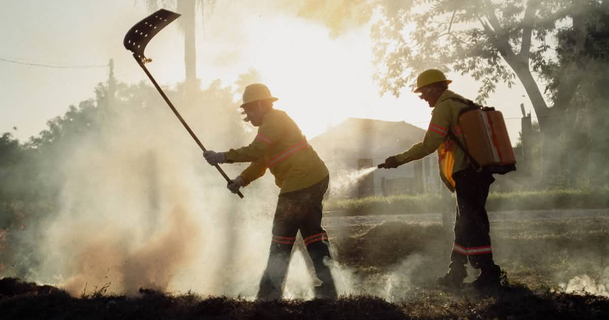 Agro é Fogo: preventing and fighting forest fires - Rainforest Rescue