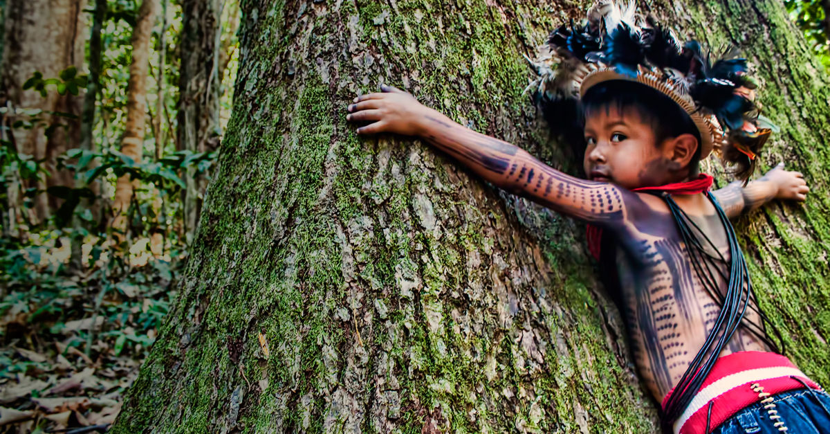 A cry for help from the Amazon rainforest - Rainforest Rescue