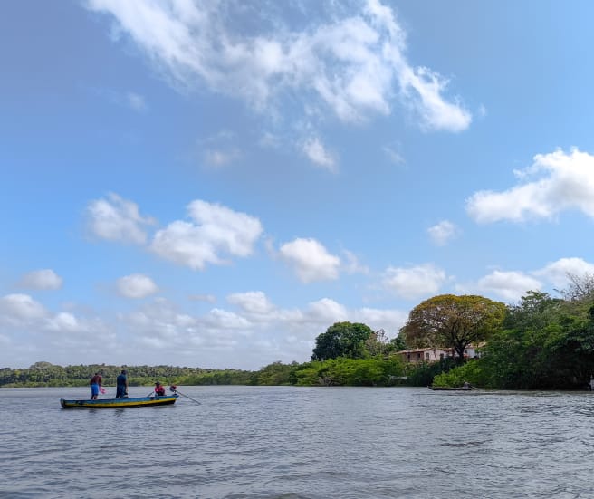 Under a blue sky, a small boat sails out to sea with three fishermen. To the right are small houses in the middle of a forest.