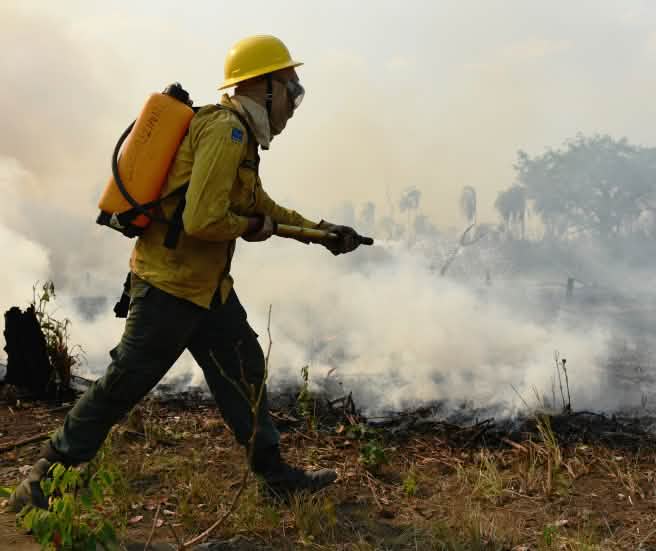 A person wearing protective clothing and carrying a water canister on their back spraying water on smoldering vegetation
