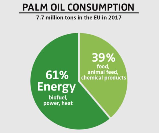 Palm oil – deforestation for everyday products - Rainforest Rescue