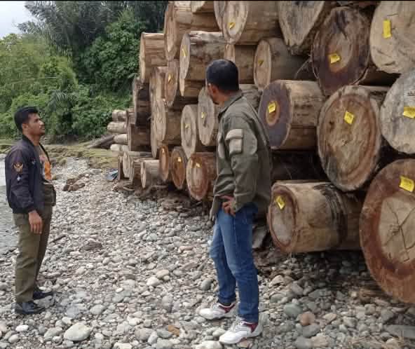 Two men standing in front of a stack of logs and a truck