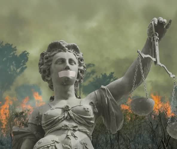Montage: Justitia in front of a burning rainforest