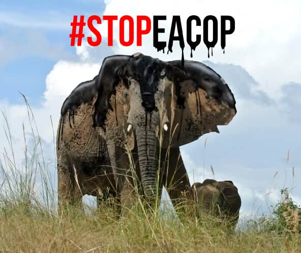 Montage: an elephant coated in crude oil - StopEACOP