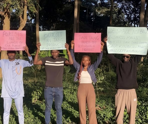 Demonstration against the destruction of the forest