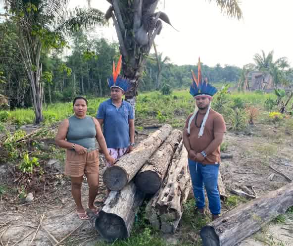 An Indigenous woman and two men wearing feather headdresses stand beside five tree trunks that have been cut down