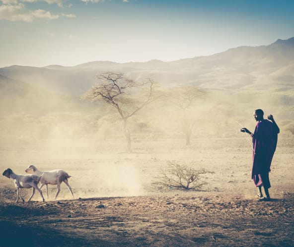 Maasai in Tanzania