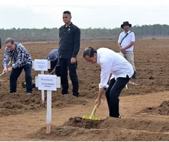 Men with shovels on a bare field