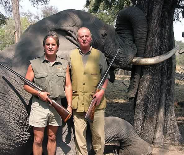 Spain’s head of state Juan Carlos in front of his prey, a shot elephant
