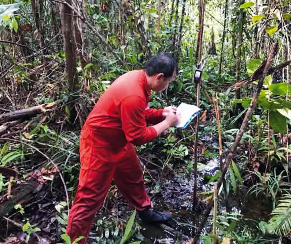 Matek surveying a forest