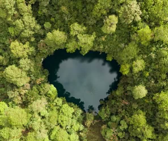 Aerial view of a small heart-shaped cenote with dark water, surrounded by dense green forest