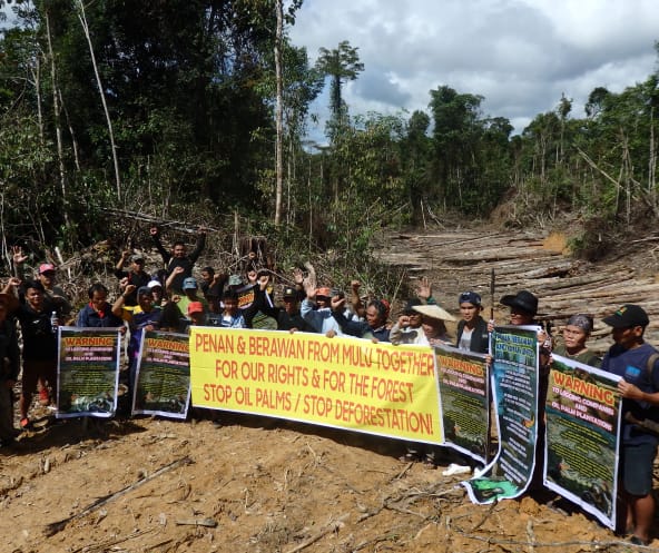 Penan and Berawan people resisting logging in Mulu forest, Sarawak, Malaysia