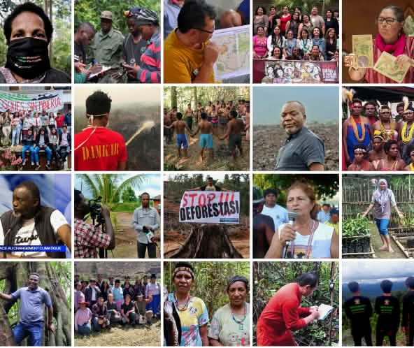 Collage: a selection of Rainforest Rescue partners