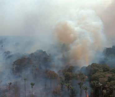 Aerial view of burning rainforest