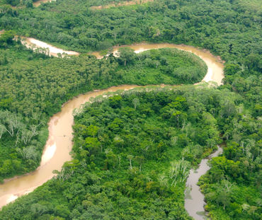 Aerial view of the Peruvian Amazon