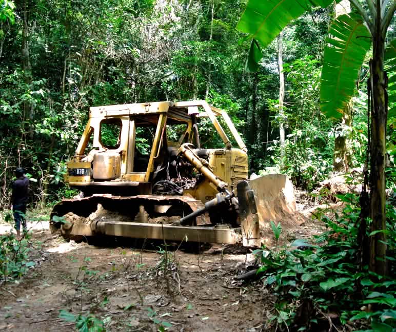 Bulldozer in Cross River National Park, Nigeria