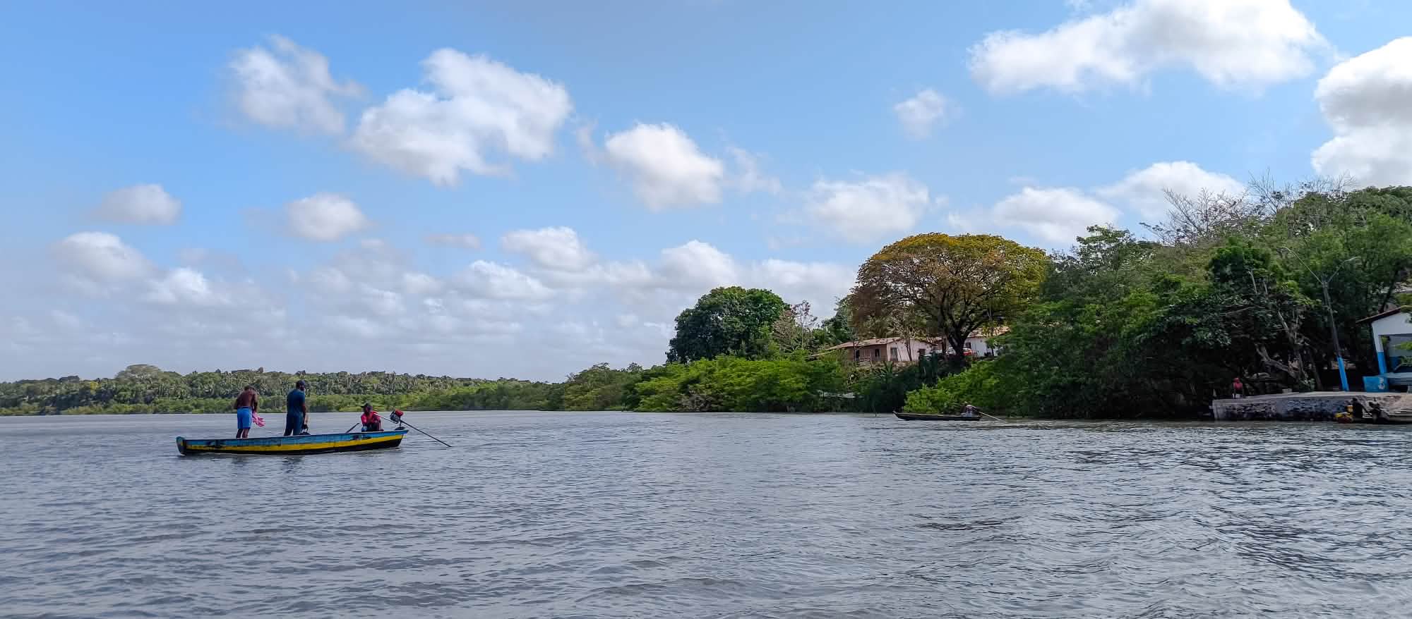 Image source - https://www.rainforest-rescue.org/petitions/1305/brazil-protect-the-mangroves-and-tropical-forests-of-taua-mirim