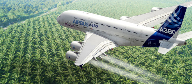 Montage: Airbus A380 over an oil palm plantation