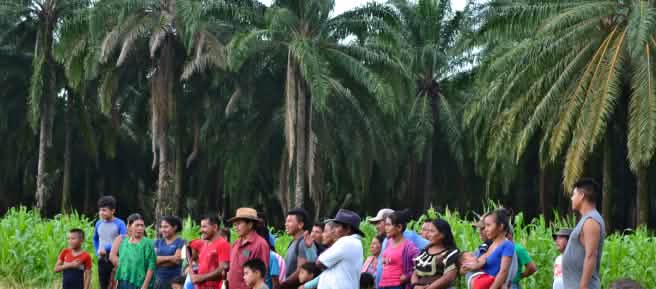 Group of people from the Chapín Abajo community in front of the oil palm plantation surrounding the community